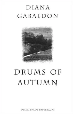 Диана Гэблдон Drums of Autumn 4 обложка книги