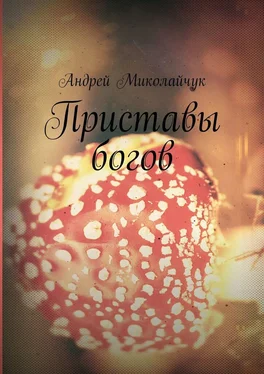 Андрей Миколайчук Приставы богов обложка книги