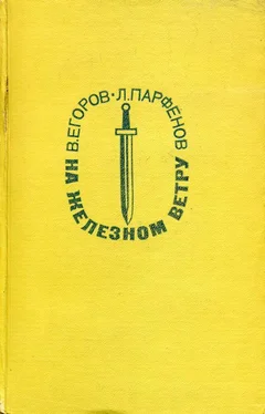 Виктор Егоров На железном ветру обложка книги