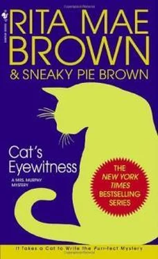 Рита Браун Cat's Eyewitness обложка книги