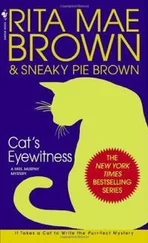 Рита Браун - Cat's Eyewitness