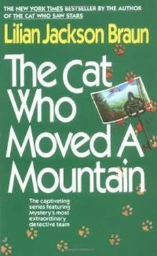 Лилиан Браун The Cat Who Moved A Montain обложка книги