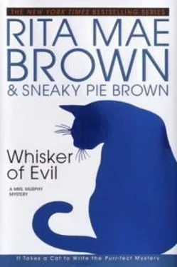 Рита Браун Whisker Of Evil обложка книги