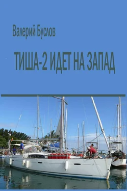 Валерий Буслов Тиша-2 идёт на Запад (сокращенная версия, сетевой вариант =Письма из Океана) обложка книги