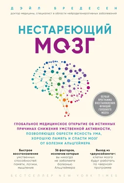 Дэйл Бредесен Нестареющий мозг [litres] обложка книги