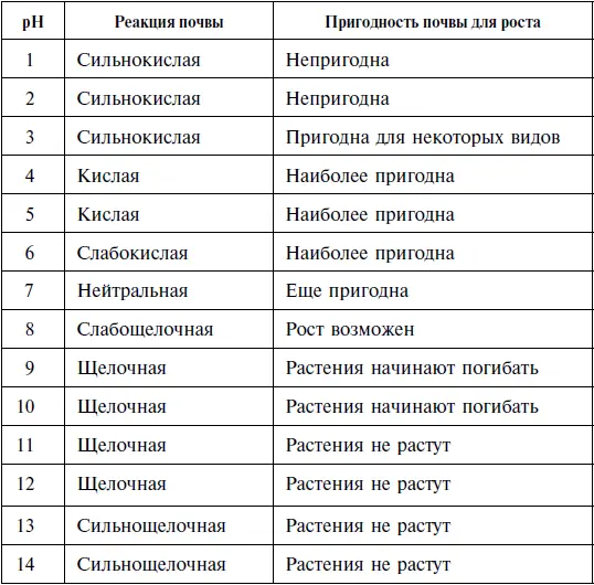 Это же можно сделать и под отдельными крупными деревьями например под липами - фото 1