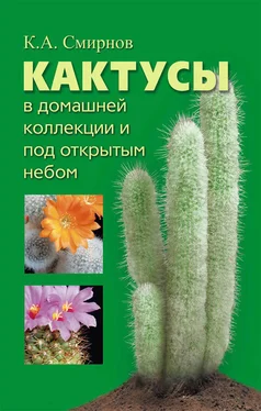 Константин Смирнов Кактусы в домашней коллекции и под открытым небом обложка книги