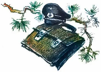 Партизаны Как огня боялись фашисты народных мстителей Перед началом Курской - фото 42