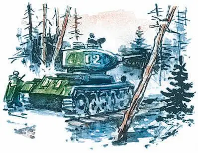Белоруссия край болот Царица трясин и топей Сражаться в таких местах и - фото 90