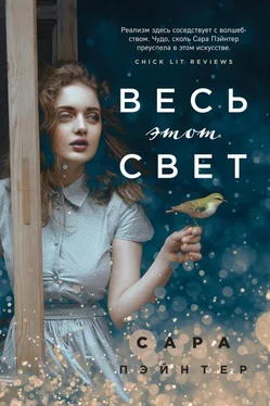 Сара Пэйнтер Весь этот свет