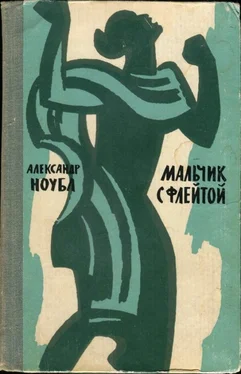 Александр Ноубл Мальчик с флейтой обложка книги