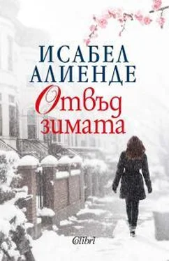 Исабель Альенде Отвъд зимата обложка книги