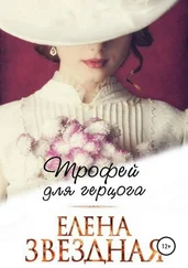 Елена Звездная - Трофей для Герцога [publisher - SelfPub.ru]