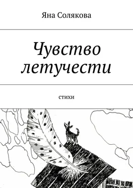 Яна Солякова Чувство летучести обложка книги