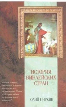 Юлий Циркин История Библейских стран обложка книги