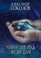 Александр Соколов - Что не снилось мудрецам