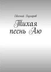 Евгений Бухаров - Тихая песнь Аю