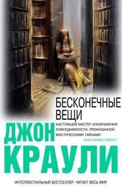 Джон Краули Бесконечные Вещи обложка книги