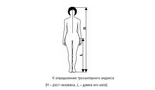 И выявлено если у женщины длинные ноги по отношению к телу то половая - фото 7