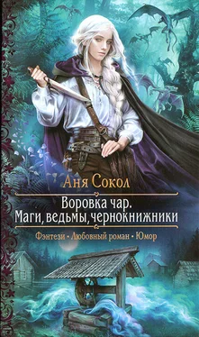 Анна Сокол Маги, ведьмы, чернокнижники обложка книги