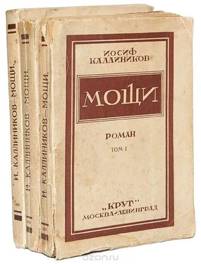 Иосиф Каллиников Мощи обложка книги