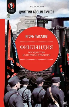 Дмитрий Пучков Финляндия: государство из царской пробирки обложка книги