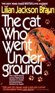 Лилиан Браун The Cat Who Went Underground обложка книги