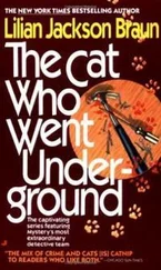 Лилиан Браун - The Cat Who Went Underground