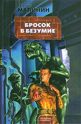 Евгений Малинин - Бросок в безумие