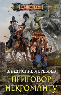 Владислав Жеребьёв Приговор некроманту [litres] обложка книги