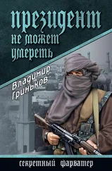 Владимир Гриньков - Президент не может умереть