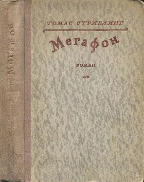 Томас Стриблинг Мегафон обложка книги