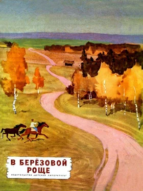 Александр Куприн В березовой роще [Рассказы] обложка книги