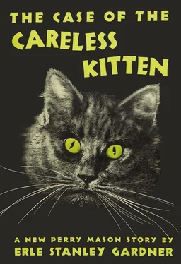 Эрл Гарднер The Case of the Careless Kitten обложка книги