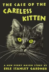 Эрл Гарднер - The Case of the Careless Kitten