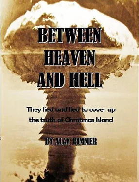 Alan Rimmer Between Heaven and Hell обложка книги