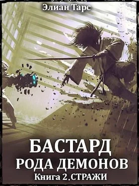 Элиан Тарс Стражи [СИ] обложка книги