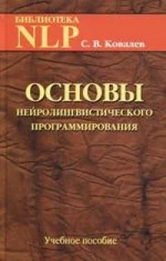 Сергей Ковалев Основы нейролингвистического программирования обложка книги