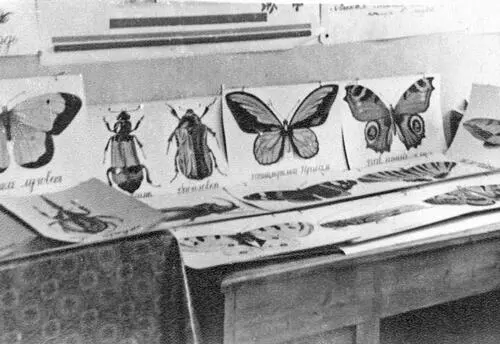 Рис 152 Плакаты нарисованные Толей Фоменко для кружка Юных Натуралистов - фото 54