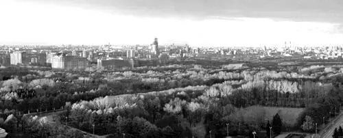 Рис 3220 Вечерний вид Москвы из окон кафедры дифференциальной геометрии и - фото 345