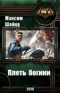 Максим Шейко Плеть богини [СИ] обложка книги