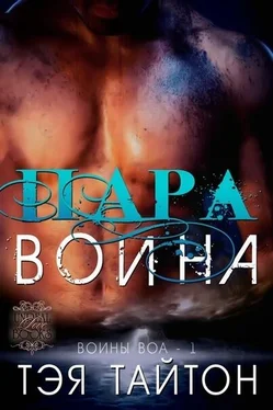 Тэя Тайтон Пара воина обложка книги