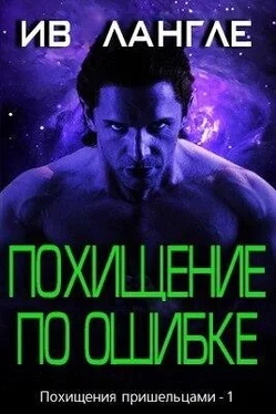 Ив Лангле Похищение по ошибке обложка книги