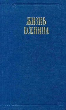 Сергей Кошечкин Жизнь Есенина обложка книги