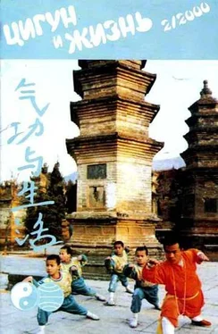 Неизвестный Автор «Цигун и жизнь» («Цигун и спорт»)-02 (2000) обложка книги