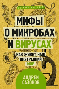 Андрей Сазонов Мифы о микробах и вирусах. Как живет наш внутренний мир обложка книги