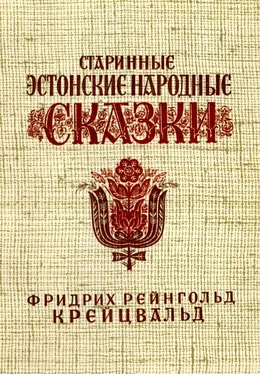 Фридрих Крейцвальд Старинные эстонские народные сказки обложка книги