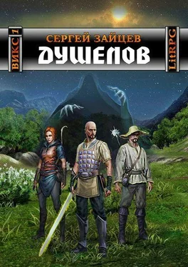 Сергей Зайцев Душелов [СИ] обложка книги