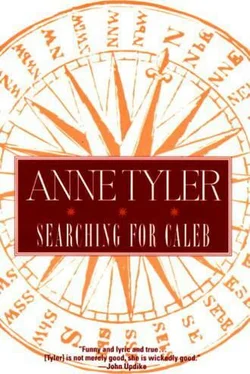 Энн Тайлер Searching for Caleb обложка книги