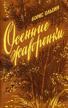 Борис Ольхин Осенние жаворонки обложка книги